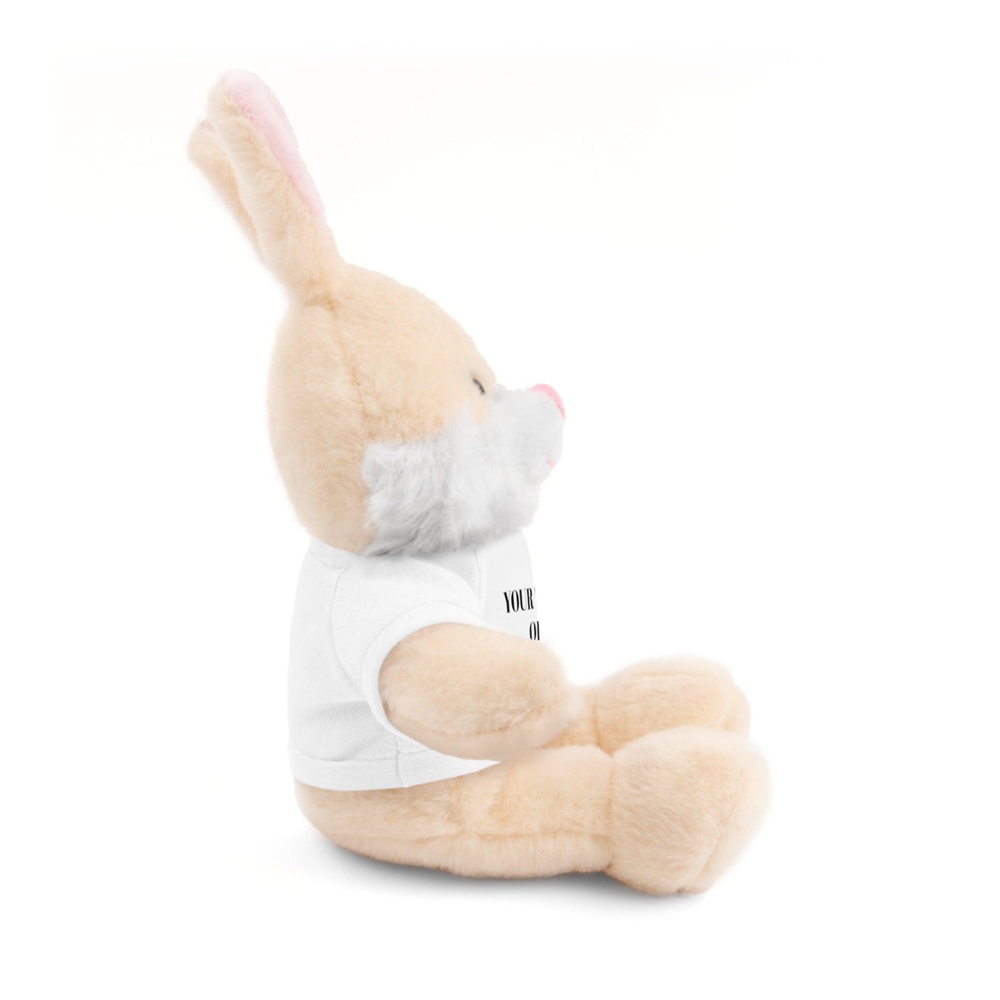 Be my valentine Stuffed Animals with Tee