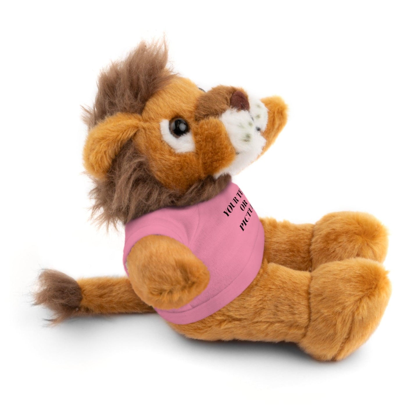 Be my valentine Stuffed Animals with Tee